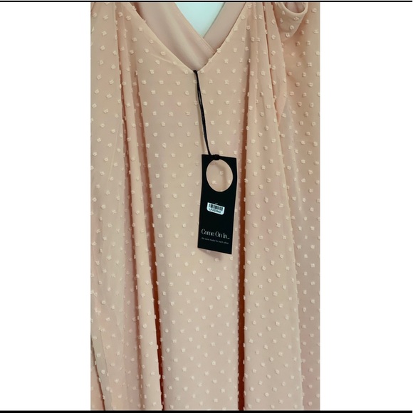 Privacy Please Rasika Gown in Blush Small and Medium Size - Picture 8 of 16